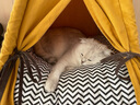 麦富迪猫零食 猫条猫罐头成幼猫升级功能款猫条混合味700g（14g*50支） 实拍图