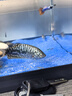 阔庭（KUOTING）鱼缸水族箱生态桌面鱼缸新款懒人鱼缸过滤制氧一体黑色【特大号】 实拍图