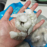 Member's Mark 生冷冻南美白对虾 2kg 2kg(净重) 实拍图