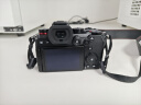 松下S5K（Panasonic）全画幅微单相机数码相机微单套机（20-60mm）约2420万有效像素5轴防抖双原生ISO 实拍图