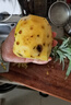 广东徐闻香水菠萝新鲜水果生鲜热带孕妇水果整箱包邮 【限时低价】1个装  单果650g起 实拍图