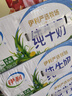 伊利纯牛奶整箱 250ml*24盒 优质乳蛋白 礼盒装 新鲜日期 实拍图