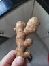云南小黄姜新鲜生姜子自营生鲜姜月子姜超市蔬菜调料姜 2斤装 1000g 实拍图