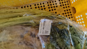 科净威车载香薰2025新款汽车香水香氛香膏去异味除臭杀菌除甲醛持久留香 实拍图