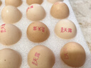 温氏 供港鲜鸡蛋 30枚/3斤 谷物喂养 原色营养 健身食材 优质蛋白 实拍图
