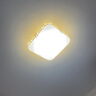 雷士（NVC） led灯盘吸顶灯灯芯改造灯板圆形灯泡灯条贴片40瓦暖白光4000K 实拍图