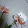 爱已装糖ins风假花仿真花束餐桌摆花客厅摆件装饰绢花重瓣郁金香浅粉2支 实拍图