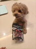 SMARTBONES宠物零食狗狗磨牙棒幼犬成犬洁齿咬胶洁齿骨 牛肉味 迷你-16支装 实拍图