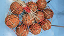 李宁（LI-NING）篮球7号精英防尘室内外CBA比赛耐磨防滑七号PU LBQK967-1 实拍图