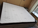 香榭柏兰 椰棕床垫棕垫硬棕榈床垫子 天然乳胶榻榻米床垫定做定制 10CM厚（防螨混纺面料+7CM椰棕） 2米*2米 实拍图