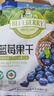 九鑫山珍有机蓝莓果干A级大颗粒独立小包装伊春特产山珍蓝莓干休闲零食 伊春有机 500g*1袋 大颗粒蓝莓干 实拍图