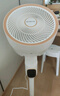 志高（CHIGO）【国家补贴】空气循环扇风扇电风扇家用立式节能落地扇可拆洗摇头台式桌面风扇宿舍客厅厨房卧室 机械款【三档风力-可拆洗-整屋循环】 实拍图