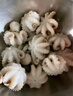 美加佳 三去迷你章鱼仔 净重1斤 火锅八爪鱼 去牙去脏小章鱼 海鲜水产 实拍图