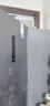 美的（Midea）三门249家用电冰箱小型三开门风冷无霜变频一级能效多门宿舍租房以旧换新MR-249WTPE【国家补贴】 实拍图