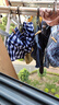 BXMAN宽松男士内裤男平角裤纯棉梭织阿罗裤短裤男睡裤 916组 180XL 实拍图