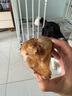 蒙贝 牛膝骨 狗狗零食 狗狗磨牙棒 低温烘烤洁齿 110g×5个大号 实拍图