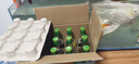 牛栏山陈酿 白牛二 牛白瓶 浓香风格 42度 500ml*12瓶 整箱装 42.3度 500mL 12瓶 牛栏山金标陈酿 实拍图