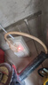 绿导冰箱知音 智能温控器通用电冰柜节能温度控制器全自动恒温调节器 【7种模式 自由切换】1个装 实拍图
