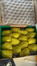 佳沛（zespri）新西兰  阳光金奇异果16粒礼盒经典果单果约 77-103g 水果 猕猴桃 实拍图
