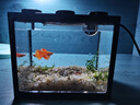 桌面鱼缸小型家用积木缸生态缸水族箱斗鱼缸带小夜灯氛围灯摆件 黑色鱼缸两个灯+小号夜光石约50颗 实拍图