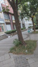 小台农芒果应季芒果产地直发半黄微花皮发货（全国多仓发货） 带箱1斤装【单果50-70g】 实拍图