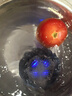 东菱（Donlim）【国家补贴】东菱转转果蔬清洗机家用食材净化洗菜除菌神器去除农残 无线便携  DL-1326静谧蓝 实拍图