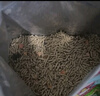 洁西（JESSIE）全价天竺鼠粮食 豚鼠粮食饲料荷兰猪营养主粮2.5kg 实拍图