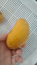 京鲜生 小台农芒果 3斤装 单果约70g 生鲜水果 实拍图