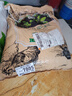 花诺鸡粪发酵有机肥料蔬菜花卉绿植果树盆栽专用肥料家用通用花肥菜肥 鸡粪有机肥10斤【二次腐熟发酵】 实拍图