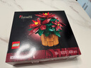 乐高（LEGO）积木拼装10370 一品红永生花男孩女孩玩具生日礼物 实拍图