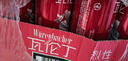 瓦伦丁（Wurenbacher）烈性啤酒500ml*24听 整箱装 德国原装进口高度精酿 强劲浓烈 实拍图