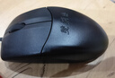双飞燕（A4TECH）OP-520SU 轻音有线鼠标 笔记本台式电脑办公家用便携鼠标 USB接口 黑色 实拍图