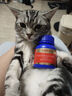 USPET英国宠物猫咪狗狗益生菌幼犬幼猫调理肠胃软便拉稀专用活性益生菌 实拍图