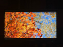 泰坦军团27英寸 QD-MiniLED 4K 170Hz 双模340Hz DyDs黑洞视觉 PC Tool 2304分区 电竞显示器 P275MV MAX 实拍图