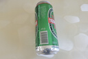 青岛特制啤酒环渤海特制麦芽小麦啤酒罐装整箱特价 4°P 500mL 1罐 实拍图