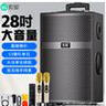 索爱（soaiy）X60大功率13喇叭重低音广场舞户外k歌蓝牙拉电木吉他乐器音箱拉杆音箱扩音器双麦克风8寸 实拍图