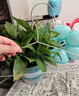 洁百纳不锈钢衣架家用无痕实芯挂衣架子加粗加厚晾衣撑子晒衣挂衣服挂钩 32cm儿童款【特粗款不锈钢】 30个 实拍图