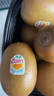 佳沛（zespri）新西兰 阳光金奇异果12粒礼盒特大果单果约122-146g 猕猴桃 水果 实拍图
