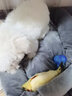 憨憨宠猫窝狗窝四季通用宠物猫狗垫子宠物窝宠物狗狗猫咪用品猫床睡袋 灰色XL号+头枕+小黄鱼 实拍图