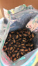 正林3A黑瓜子500g/袋五香味大颗粒西瓜子坚果炒货休闲零食 实拍图