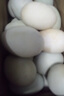 雀淘农家土鸡蛋珍珠棉包装皖南谷物笨鸡蛋柴鸡蛋顺丰发货 15枚*45g 珍珠棉包装 实拍图
