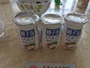 【网红甜品】椰子冻饮品布丁果味果冻 瓶装夏日休闲童年怀旧散装 椰子冻约65g*13瓶 实拍图