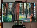 创维电视55A5D Pro 55英寸电视机Mini LED 240Hz S+高透屏液晶智能平板游戏 家电 以旧换新 实拍图