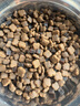 麦富迪狗粮 无谷牛肉双拼粮10kg 成犬小型犬泰迪比熊博美 实拍图