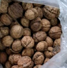 云南今年新货野生老树核桃纸皮薄皮孕妇黑桃薄壳干黑桃零食无漂 云南新货薄皮核桃5斤-老品种大果 实拍图