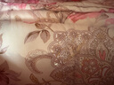 奈士迪 95%白鹅绒被柔面料羽绒被子冬天被芯95%白鹅绒冬被冬季 冬厚被 粉色印花 220*240cm冬款(填充1400g) 实拍图