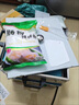 维纳仕  电热肠粉机 广东家用小型304不锈钢早餐肠粉机抽屉式电热蒸盘拉肠粉家庭装多功能电蒸箱 家用电热2层3抽【带粉料工具】 实拍图