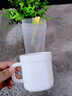 家の物语日本旅行洗漱杯漱口杯抗菌牙杯刷牙杯套装二合一沥水硅胶成人儿童 实拍图