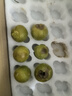 粤迎贵州六马蜂糖李【顺丰多地次日达】脆甜蜂蜜李水果多汁新鲜生送礼 A+级精选特大果【单果45-50mm】 净重5斤【70%选择-蕞划算】 实拍图