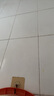 瓦克（WACKER）GM玻璃胶通用型厨卫密封胶美容胶中性耐候门窗硅酮胶结构胶亚浅灰 实拍图